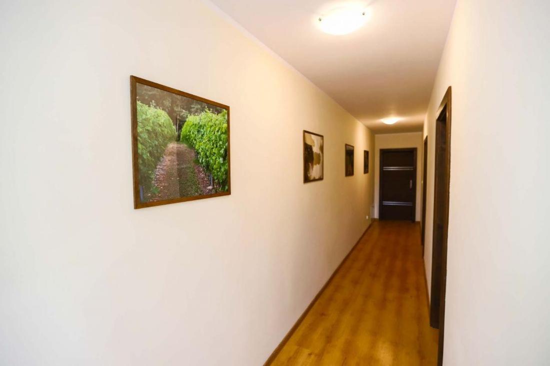 Winnica Anna Noclegi Krosnice Exterior foto