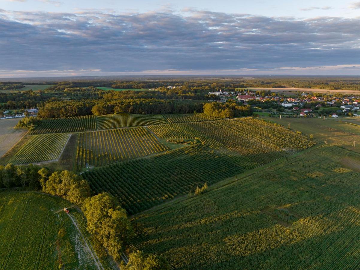 Winnica Anna Noclegi Krosnice Exterior foto